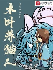 《木叶养猫人》作者:槿木槿木