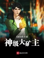 《神级大矿主》作者:五彩贝壳