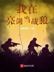 《我在亮剑当战狼》作者:寂寞剑客