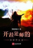 《开挂法师的异世界生活》作者:想要戒酒