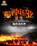 《超能大宗师》作者:嚣张农民