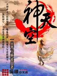《神天空》作者:一品带刀麻雀
