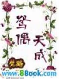 《鸳偶天成》作者:梵路