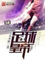 《足球皇帝》作者:天天不休
