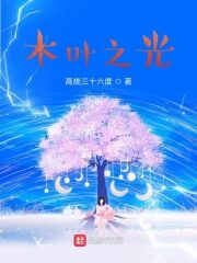 《木叶之光》作者:高烧三十六度