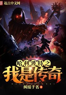 《哈利波特之我是传奇》作者:纠结于名