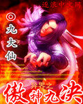 《异界之傲神九决》作者:九大仙