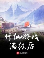 《修仙游戏满级后》作者:文笀