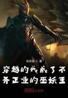 《我真不想当巫妖王》作者:高将军