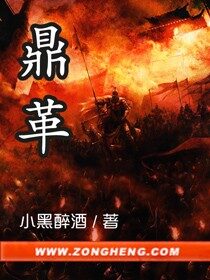《鼎革》作者:小黑醉酒