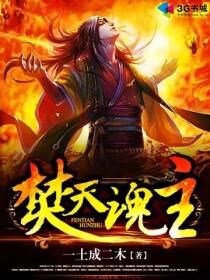 《焚天魂主》作者:一土成二木