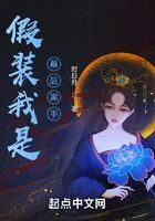 《假装我是幕后黑手》作者:时日月