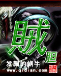 《贼胆》作者:发飙的蜗牛
