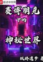 《赛博朋克下的神秘世界》作者:枫桥遗梦