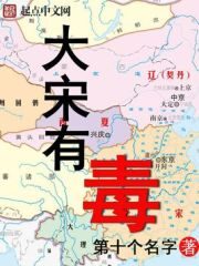 《大宋有毒》作者:第十个名字