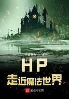 《HP走近魔法世界》作者：一缕斜阳