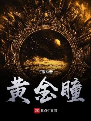 《黄金瞳(典当)》作者:打眼