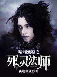 《哈利波特之死灵法师》作者:孤魄幽魂