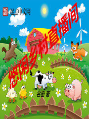 《悠闲乡村直播间》作者:名窑