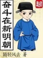 《奋斗在新明朝》作者:随轻风去