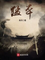《猛卒》作者:高月