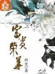 《富贵荣华》作者:府天