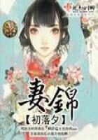 《妻锦》作者:初落夕
