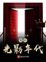 《我的光影年代》作者:油炸大金
