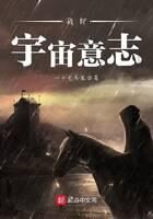 《我即宇宙意志》作者:一十七书生
