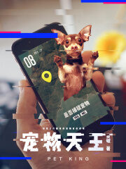 《宠物天王》作者:皆破