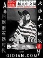《回到旧石器时代》作者:此物天下绝响