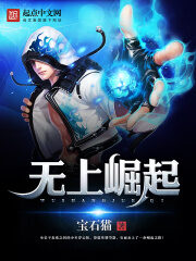 《无上崛起》作者:宝石猫