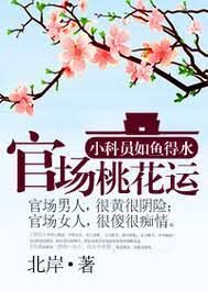 《官道之步步高升(官场桃花运)》作者:北岸
