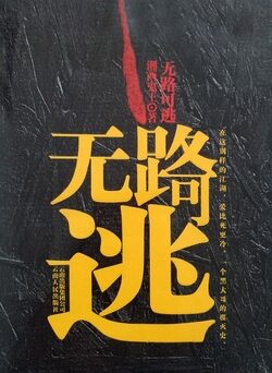 《无路可逃》作者:湘西鬼王