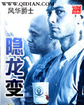 《隐龙变》作者:风华爵士