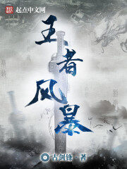 《王者风暴》作者:古剑锋