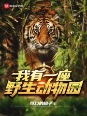 《我有一座野生动物园》作者:可口的橘子