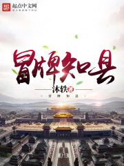 《冒牌知县》作者:沐轶