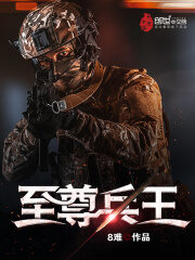 《至尊兵王》作者:8难