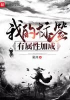 《我的标签有属性加成》作者:襄州