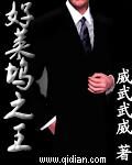 《好莱坞之王》作者：威武武威