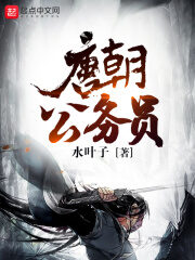 《唐朝公务员》作者:水叶子
