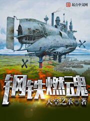 《钢铁燃魂》作者:天空之承