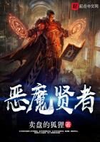 《恶魔贤者》作者:卖盘的狐狸