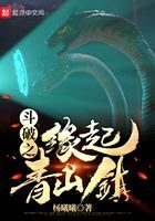 《斗破之缘起青山镇》作者:杨曦曦