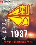 《刺刀1937》作者:西方蜘蛛