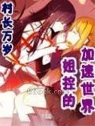 《姐控的加速世界》作者：村长万岁