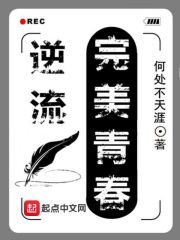 《逆流完美青春》作者:何处不天涯