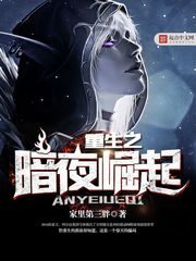 《重生之暗夜崛起》作者:家里第三胖