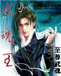 《武魂王》作者:至尊武魂